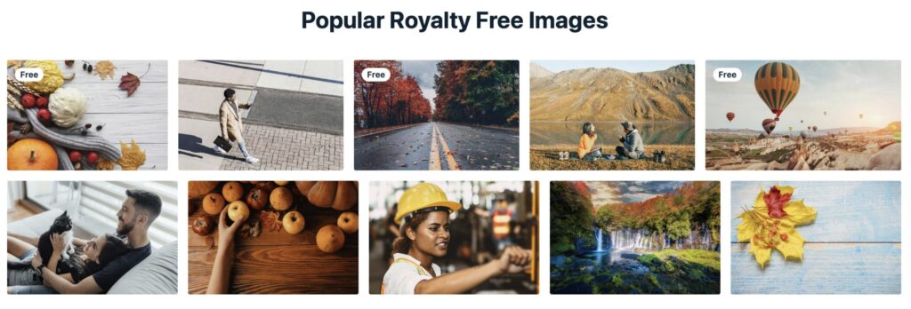 Populaire gratis stockfoto's op Vecteezy 