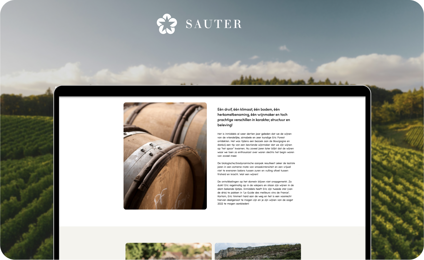 Sauter wijnen lapto0p mockup vineyard background